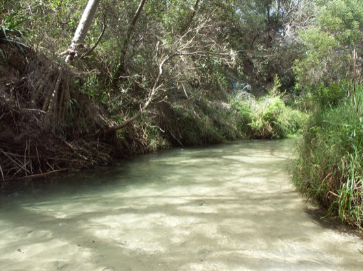 Eli Creek