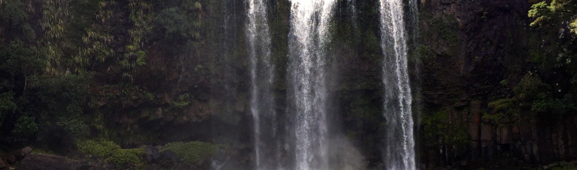 One Tree Point, Abbey Caves, Whangarei Falls, Puketi Forest