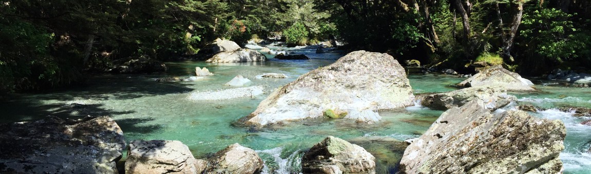 Routeburn Glenorchy side as a day hike