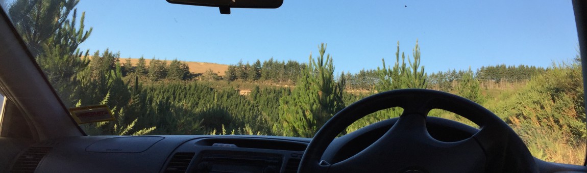 get my HeArts shipped, arrived in Christchurch